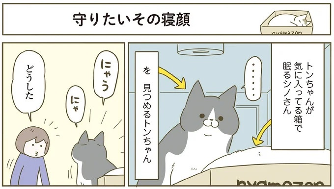 「えッ⁉ ネコチャンダッ‼」猫好きの引っ越し業者さん。愛猫たちの反応は／うちの猫がまた変なことしてる。7 ／うちの猫がまた変なことしてる。7（画像43/129枚目）