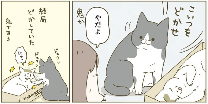 「えッ⁉ ネコチャンダッ‼」猫好きの引っ越し業者さん。愛猫たちの反応は／うちの猫がまた変なことしてる。7 ／うちの猫がまた変なことしてる。7（画像46/129枚目）