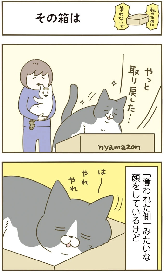 「えッ⁉ ネコチャンダッ‼」猫好きの引っ越し業者さん。愛猫たちの反応は／うちの猫がまた変なことしてる。7 ／うちの猫がまた変なことしてる。7（画像47/129枚目）