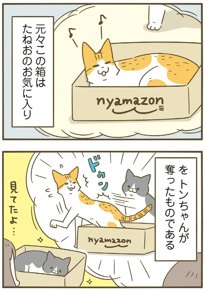 「えッ⁉ ネコチャンダッ‼」猫好きの引っ越し業者さん。愛猫たちの反応は／うちの猫がまた変なことしてる。7 ／うちの猫がまた変なことしてる。7（画像48/129枚目）