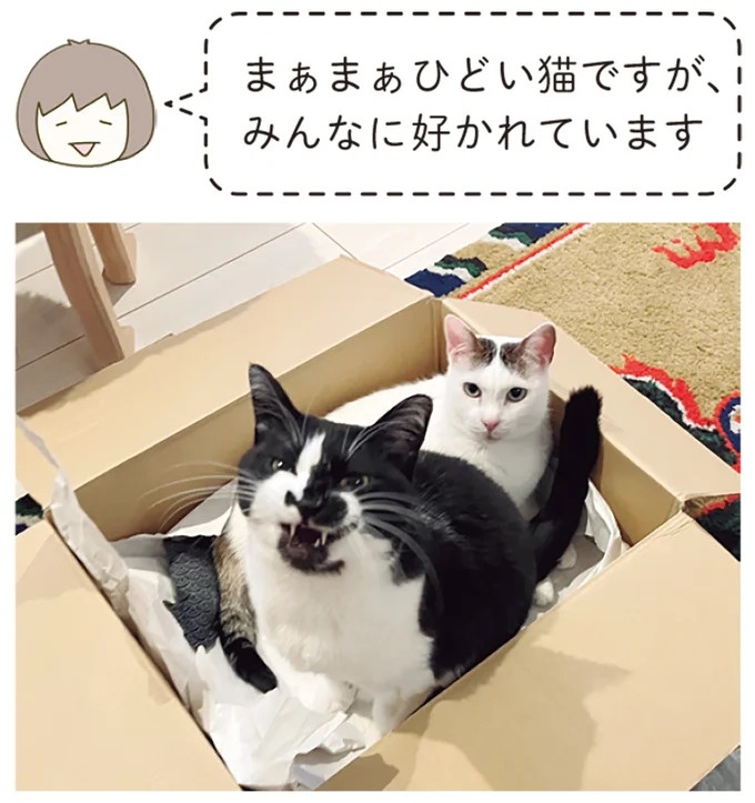 「えッ⁉ ネコチャンダッ‼」猫好きの引っ越し業者さん。愛猫たちの反応は／うちの猫がまた変なことしてる。7 ／うちの猫がまた変なことしてる。7（画像49/129枚目）
