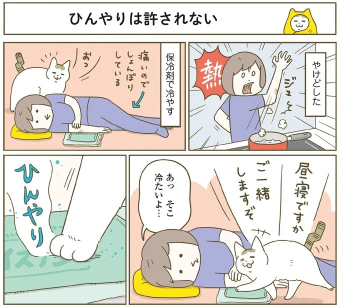 「えッ⁉ ネコチャンダッ‼」猫好きの引っ越し業者さん。愛猫たちの反応は／うちの猫がまた変なことしてる。7 ／うちの猫がまた変なことしてる。7（画像51/129枚目）