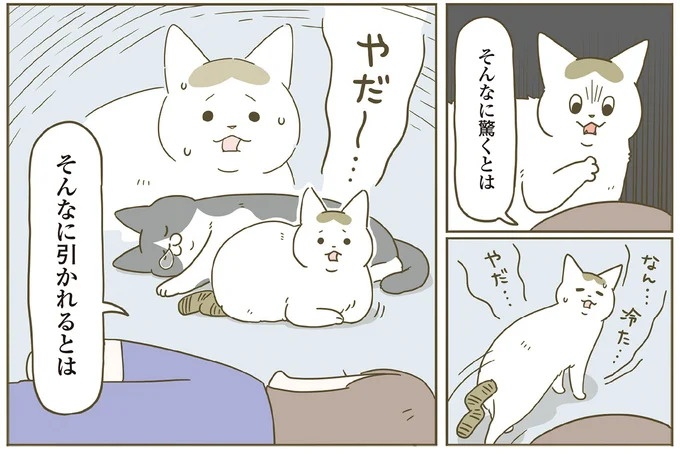 「えッ⁉ ネコチャンダッ‼」猫好きの引っ越し業者さん。愛猫たちの反応は／うちの猫がまた変なことしてる。7 ／うちの猫がまた変なことしてる。7（画像52/129枚目）