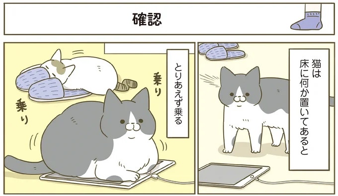 「えッ⁉ ネコチャンダッ‼」猫好きの引っ越し業者さん。愛猫たちの反応は／うちの猫がまた変なことしてる。7 ／うちの猫がまた変なことしてる。7（画像53/129枚目）