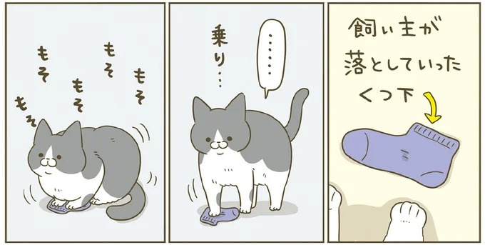 「えッ⁉ ネコチャンダッ‼」猫好きの引っ越し業者さん。愛猫たちの反応は／うちの猫がまた変なことしてる。7 ／うちの猫がまた変なことしてる。7（画像54/129枚目）
