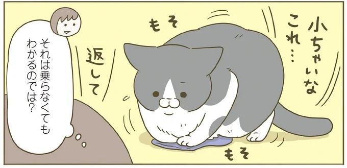 「えッ⁉ ネコチャンダッ‼」猫好きの引っ越し業者さん。愛猫たちの反応は／うちの猫がまた変なことしてる。7 ／うちの猫がまた変なことしてる。7（画像56/129枚目）