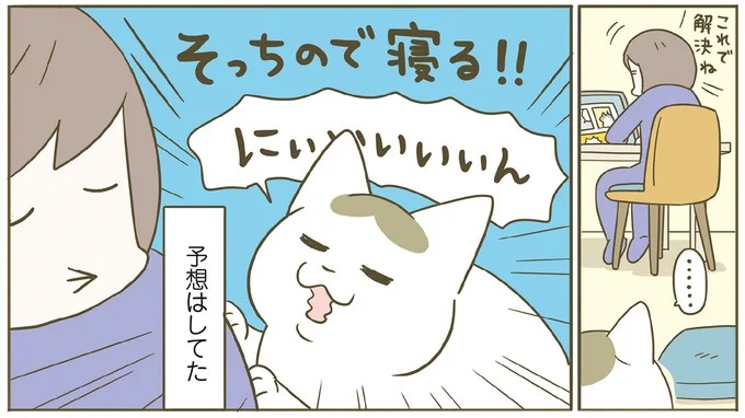 「えッ⁉ ネコチャンダッ‼」猫好きの引っ越し業者さん。愛猫たちの反応は／うちの猫がまた変なことしてる。7 ／うちの猫がまた変なことしてる。7（画像59/129枚目）