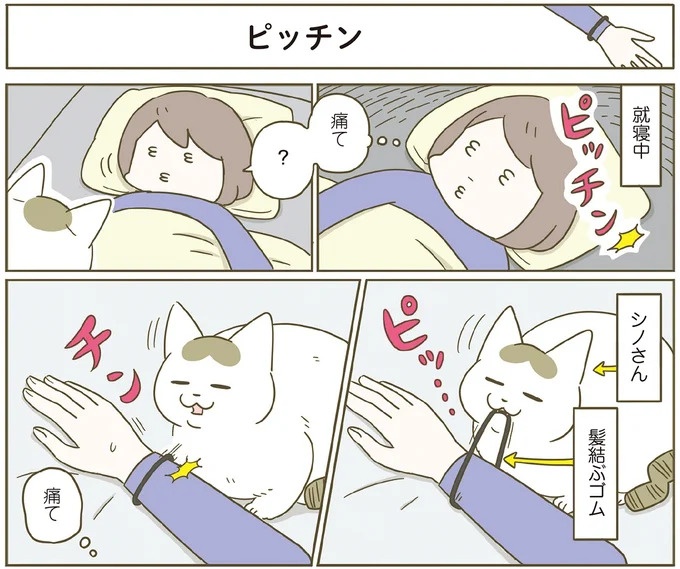 「えッ⁉ ネコチャンダッ‼」猫好きの引っ越し業者さん。愛猫たちの反応は／うちの猫がまた変なことしてる。7 ／うちの猫がまた変なことしてる。7（画像61/129枚目）