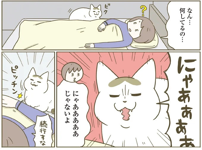 「えッ⁉ ネコチャンダッ‼」猫好きの引っ越し業者さん。愛猫たちの反応は／うちの猫がまた変なことしてる。7 ／うちの猫がまた変なことしてる。7（画像62/129枚目）