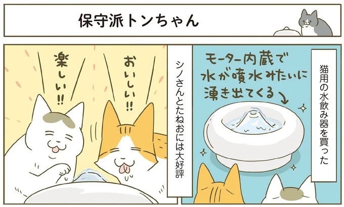 「えッ⁉ ネコチャンダッ‼」猫好きの引っ越し業者さん。愛猫たちの反応は／うちの猫がまた変なことしてる。7 ／うちの猫がまた変なことしてる。7（画像63/129枚目）