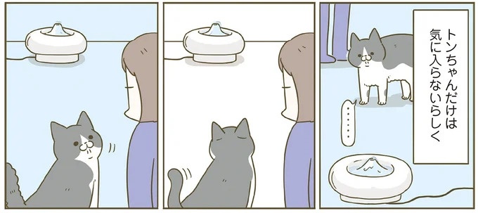 「えッ⁉ ネコチャンダッ‼」猫好きの引っ越し業者さん。愛猫たちの反応は／うちの猫がまた変なことしてる。7 ／うちの猫がまた変なことしてる。7（画像64/129枚目）