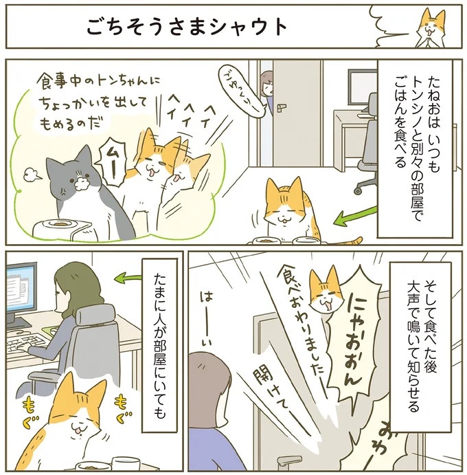 「えッ⁉ ネコチャンダッ‼」猫好きの引っ越し業者さん。愛猫たちの反応は／うちの猫がまた変なことしてる。7 ／うちの猫がまた変なことしてる。7（画像67/129枚目）