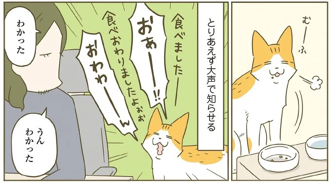 「えッ⁉ ネコチャンダッ‼」猫好きの引っ越し業者さん。愛猫たちの反応は／うちの猫がまた変なことしてる。7 ／うちの猫がまた変なことしてる。7（画像68/129枚目）