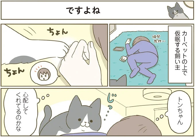 「えッ⁉ ネコチャンダッ‼」猫好きの引っ越し業者さん。愛猫たちの反応は／うちの猫がまた変なことしてる。7 ／うちの猫がまた変なことしてる。7（画像69/129枚目）