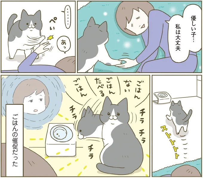 「えッ⁉ ネコチャンダッ‼」猫好きの引っ越し業者さん。愛猫たちの反応は／うちの猫がまた変なことしてる。7 ／うちの猫がまた変なことしてる。7（画像71/129枚目）