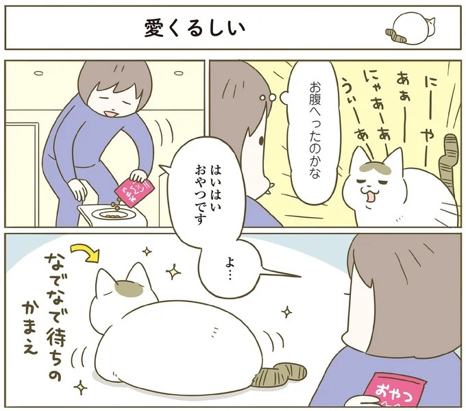 「えッ⁉ ネコチャンダッ‼」猫好きの引っ越し業者さん。愛猫たちの反応は／うちの猫がまた変なことしてる。7 ／うちの猫がまた変なことしてる。7（画像72/129枚目）