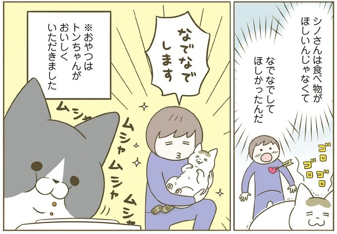 「えッ⁉ ネコチャンダッ‼」猫好きの引っ越し業者さん。愛猫たちの反応は／うちの猫がまた変なことしてる。7 ／うちの猫がまた変なことしてる。7（画像73/129枚目）