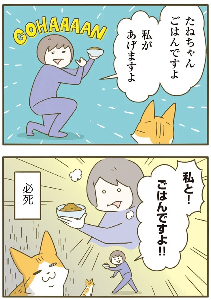 「えッ⁉ ネコチャンダッ‼」猫好きの引っ越し業者さん。愛猫たちの反応は／うちの猫がまた変なことしてる。7 ／うちの猫がまた変なことしてる。7（画像76/129枚目）