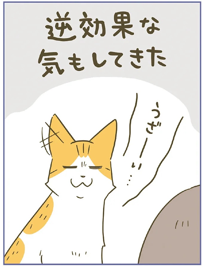 「えッ⁉ ネコチャンダッ‼」猫好きの引っ越し業者さん。愛猫たちの反応は／うちの猫がまた変なことしてる。7 ／うちの猫がまた変なことしてる。7（画像78/129枚目）