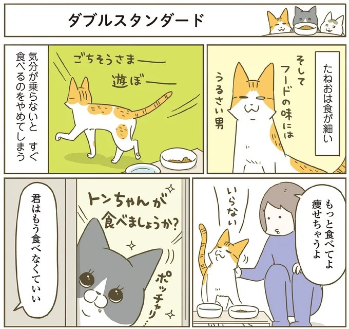 「えッ⁉ ネコチャンダッ‼」猫好きの引っ越し業者さん。愛猫たちの反応は／うちの猫がまた変なことしてる。7 ／うちの猫がまた変なことしてる。7（画像79/129枚目）