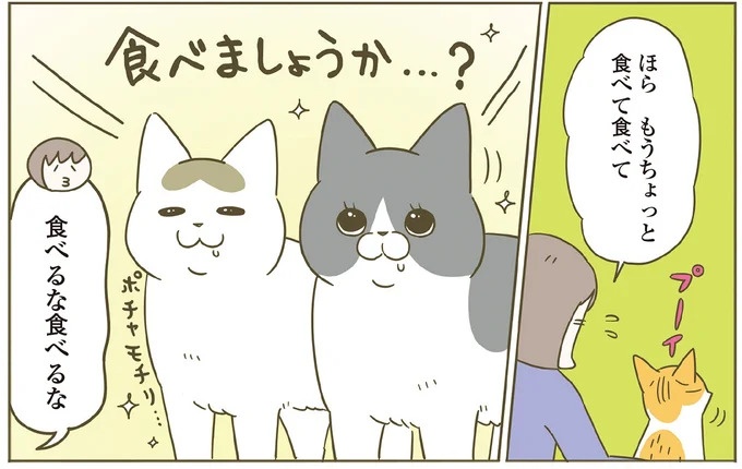「えッ⁉ ネコチャンダッ‼」猫好きの引っ越し業者さん。愛猫たちの反応は／うちの猫がまた変なことしてる。7 ／うちの猫がまた変なことしてる。7（画像81/129枚目）