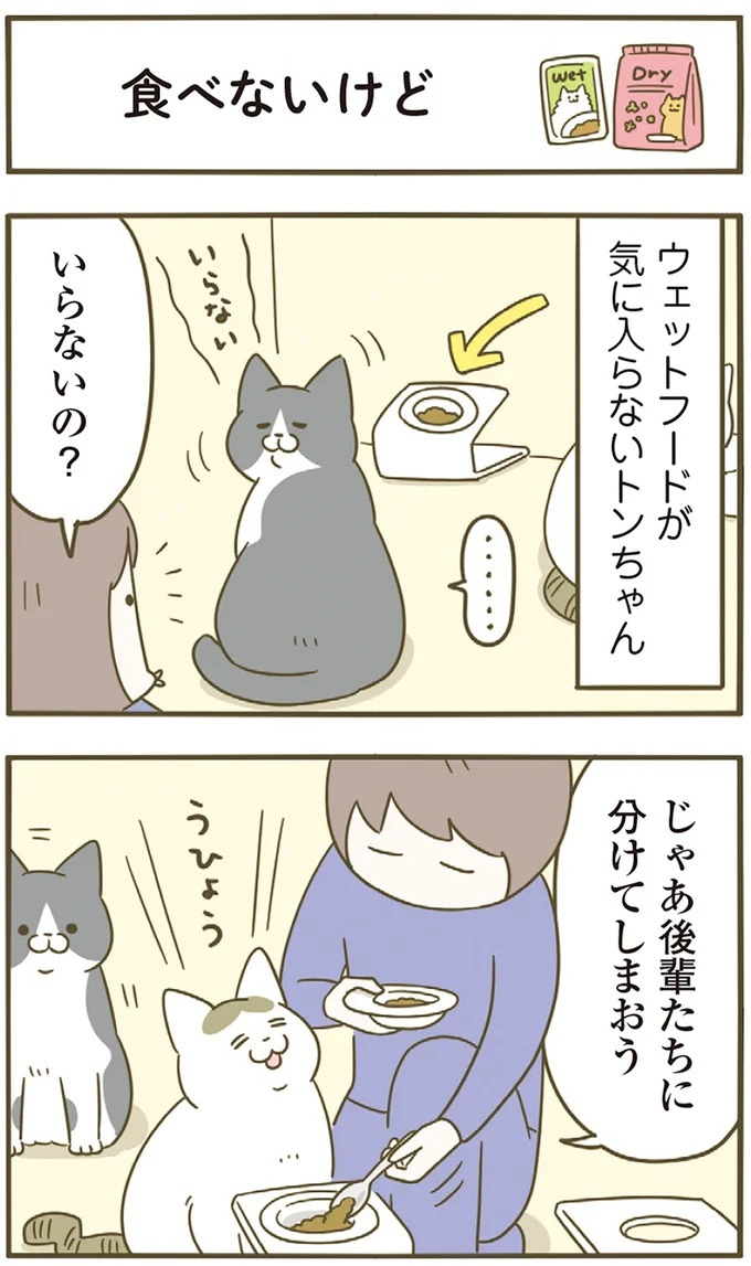 「えッ⁉ ネコチャンダッ‼」猫好きの引っ越し業者さん。愛猫たちの反応は／うちの猫がまた変なことしてる。7 ／うちの猫がまた変なことしてる。7（画像82/129枚目）