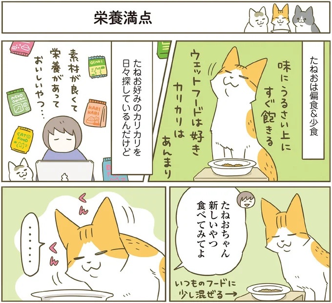 「えッ⁉ ネコチャンダッ‼」猫好きの引っ越し業者さん。愛猫たちの反応は／うちの猫がまた変なことしてる。7 ／うちの猫がまた変なことしてる。7（画像87/129枚目）