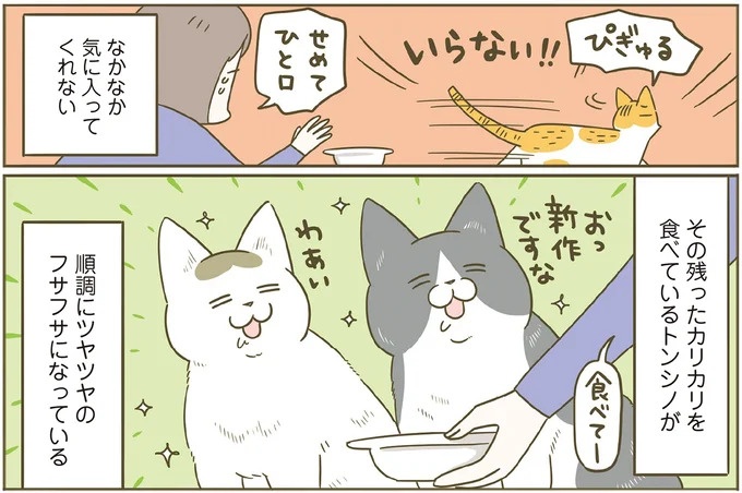 「えッ⁉ ネコチャンダッ‼」猫好きの引っ越し業者さん。愛猫たちの反応は／うちの猫がまた変なことしてる。7 ／うちの猫がまた変なことしてる。7（画像88/129枚目）