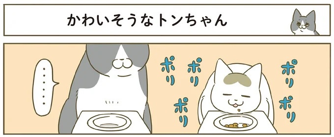 「えッ⁉ ネコチャンダッ‼」猫好きの引っ越し業者さん。愛猫たちの反応は／うちの猫がまた変なことしてる。7 ／うちの猫がまた変なことしてる。7（画像89/129枚目）
