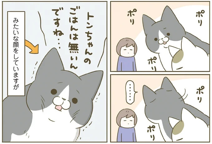 「えッ⁉ ネコチャンダッ‼」猫好きの引っ越し業者さん。愛猫たちの反応は／うちの猫がまた変なことしてる。7 ／うちの猫がまた変なことしてる。7（画像91/129枚目）