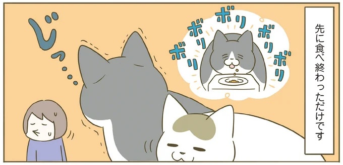 「えッ⁉ ネコチャンダッ‼」猫好きの引っ越し業者さん。愛猫たちの反応は／うちの猫がまた変なことしてる。7 ／うちの猫がまた変なことしてる。7（画像92/129枚目）