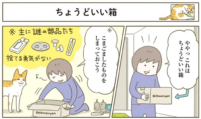 「えッ⁉ ネコチャンダッ‼」猫好きの引っ越し業者さん。愛猫たちの反応は／うちの猫がまた変なことしてる。7 ／うちの猫がまた変なことしてる。7（画像93/129枚目）