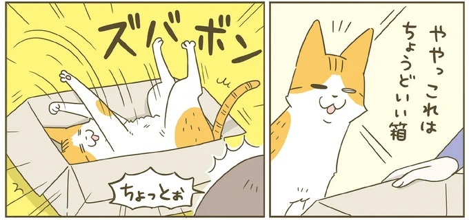「えッ⁉ ネコチャンダッ‼」猫好きの引っ越し業者さん。愛猫たちの反応は／うちの猫がまた変なことしてる。7 ／うちの猫がまた変なことしてる。7（画像94/129枚目）