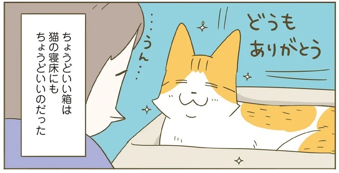 「えッ⁉ ネコチャンダッ‼」猫好きの引っ越し業者さん。愛猫たちの反応は／うちの猫がまた変なことしてる。7 ／うちの猫がまた変なことしてる。7（画像96/129枚目）