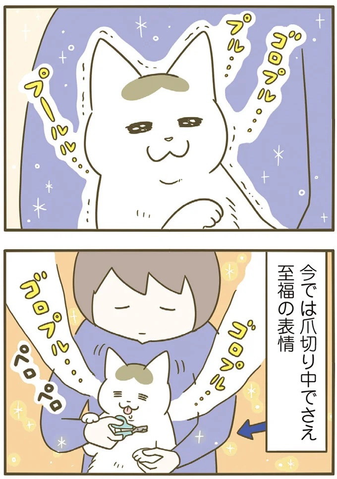 「えッ⁉ ネコチャンダッ‼」猫好きの引っ越し業者さん。愛猫たちの反応は／うちの猫がまた変なことしてる。7 ／うちの猫がまた変なことしてる。7（画像98/129枚目）