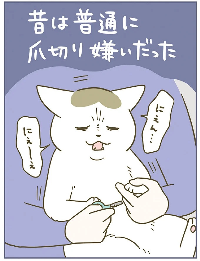 「えッ⁉ ネコチャンダッ‼」猫好きの引っ越し業者さん。愛猫たちの反応は／うちの猫がまた変なことしてる。7 ／うちの猫がまた変なことしてる。7（画像101/129枚目）