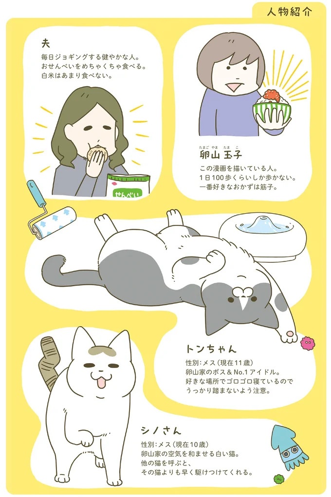 「えッ⁉ ネコチャンダッ‼」猫好きの引っ越し業者さん。愛猫たちの反応は／うちの猫がまた変なことしてる。7 ／うちの猫がまた変なことしてる。7（画像102/129枚目）