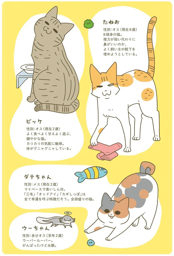「えッ⁉ ネコチャンダッ‼」猫好きの引っ越し業者さん。愛猫たちの反応は／うちの猫がまた変なことしてる。7 ／うちの猫がまた変なことしてる。7（画像103/129枚目）
