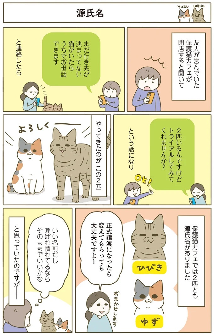 「えッ⁉ ネコチャンダッ‼」猫好きの引っ越し業者さん。愛猫たちの反応は／うちの猫がまた変なことしてる。7 ／うちの猫がまた変なことしてる。7（画像106/129枚目）