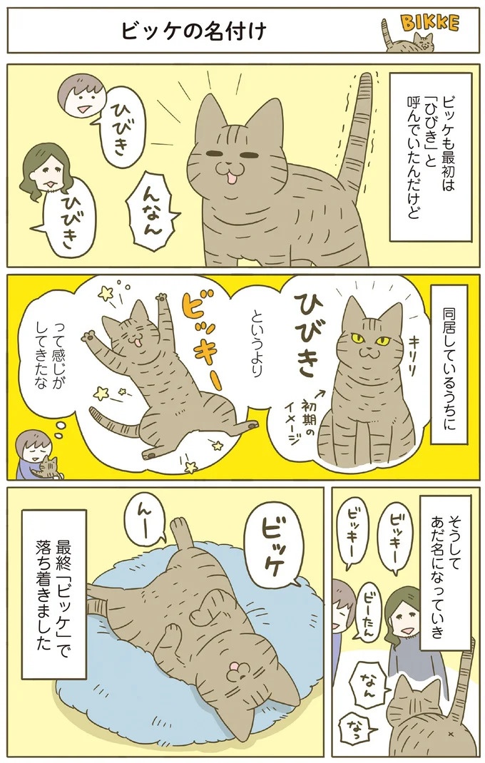 「えッ⁉ ネコチャンダッ‼」猫好きの引っ越し業者さん。愛猫たちの反応は／うちの猫がまた変なことしてる。7 ／うちの猫がまた変なことしてる。7（画像108/129枚目）