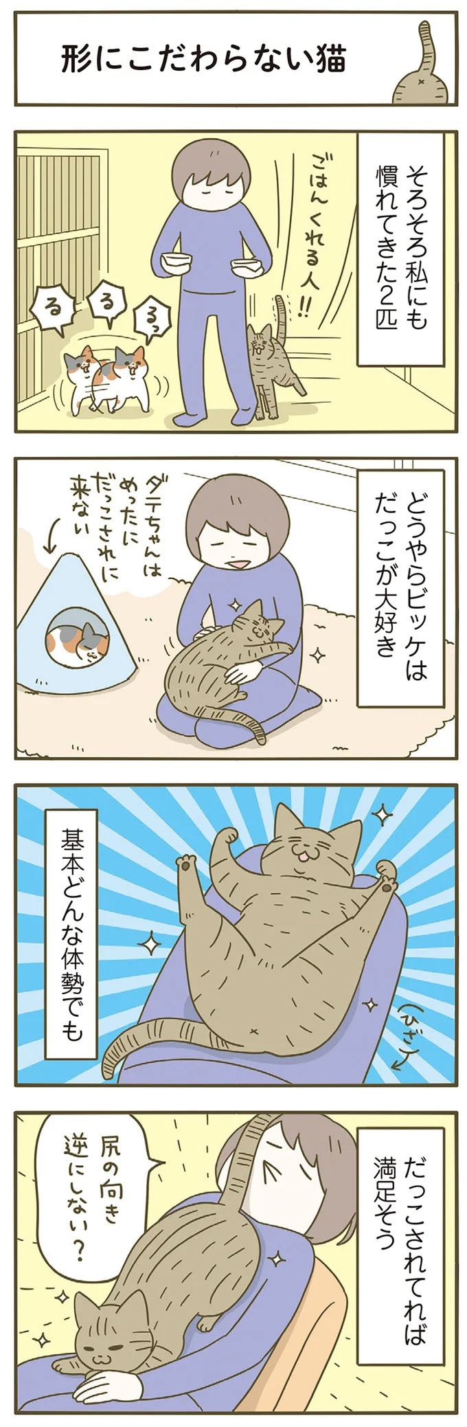 「えッ⁉ ネコチャンダッ‼」猫好きの引っ越し業者さん。愛猫たちの反応は／うちの猫がまた変なことしてる。7 ／うちの猫がまた変なことしてる。7（画像111/129枚目）