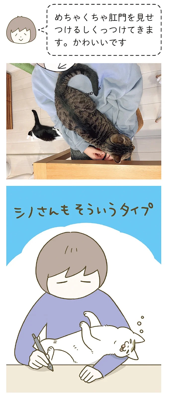 「えッ⁉ ネコチャンダッ‼」猫好きの引っ越し業者さん。愛猫たちの反応は／うちの猫がまた変なことしてる。7 ／うちの猫がまた変なことしてる。7（画像112/129枚目）