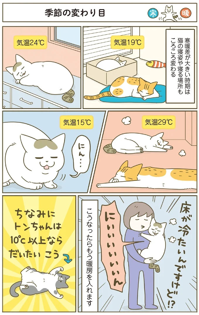 「えッ⁉ ネコチャンダッ‼」猫好きの引っ越し業者さん。愛猫たちの反応は／うちの猫がまた変なことしてる。7 ／うちの猫がまた変なことしてる。7（画像113/129枚目）