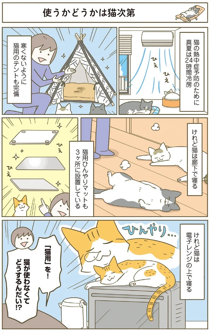 「えッ⁉ ネコチャンダッ‼」猫好きの引っ越し業者さん。愛猫たちの反応は／うちの猫がまた変なことしてる。7 ／うちの猫がまた変なことしてる。7（画像114/129枚目）
