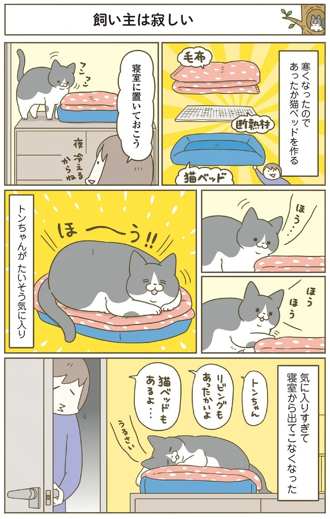 「えッ⁉ ネコチャンダッ‼」猫好きの引っ越し業者さん。愛猫たちの反応は／うちの猫がまた変なことしてる。7 ／うちの猫がまた変なことしてる。7（画像116/129枚目）