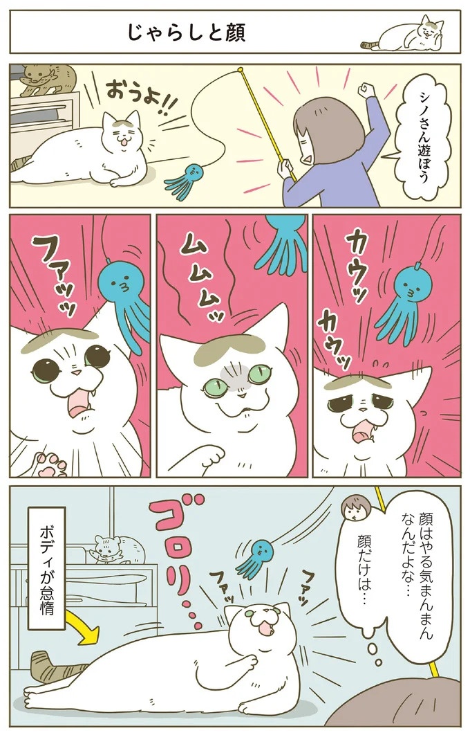 「えッ⁉ ネコチャンダッ‼」猫好きの引っ越し業者さん。愛猫たちの反応は／うちの猫がまた変なことしてる。7 ／うちの猫がまた変なことしてる。7（画像118/129枚目）