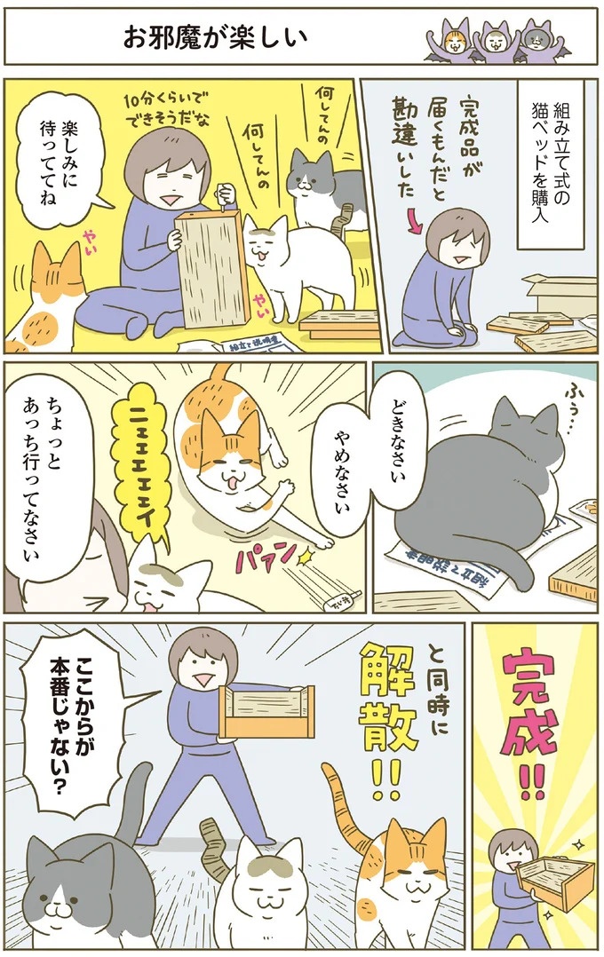 「えッ⁉ ネコチャンダッ‼」猫好きの引っ越し業者さん。愛猫たちの反応は／うちの猫がまた変なことしてる。7 ／うちの猫がまた変なことしてる。7（画像119/129枚目）
