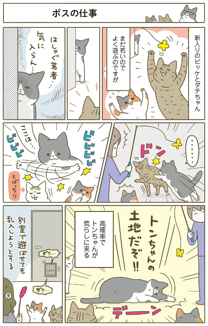 「えッ⁉ ネコチャンダッ‼」猫好きの引っ越し業者さん。愛猫たちの反応は／うちの猫がまた変なことしてる。7 ／うちの猫がまた変なことしてる。7（画像122/129枚目）