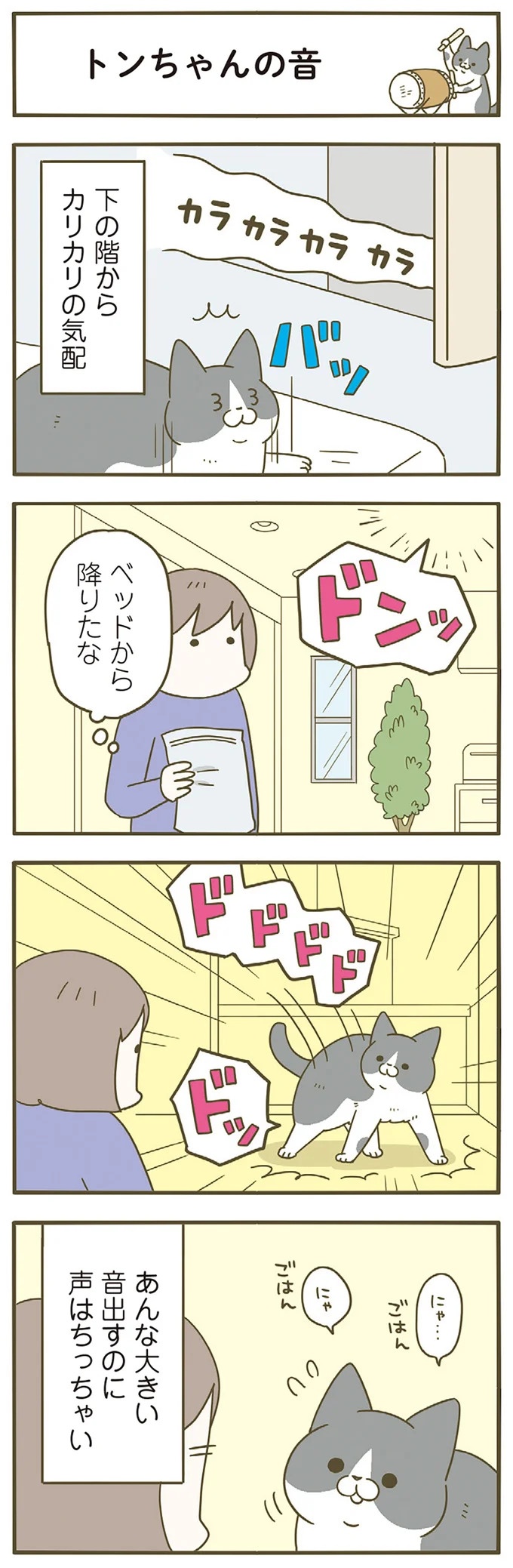 「えッ⁉ ネコチャンダッ‼」猫好きの引っ越し業者さん。愛猫たちの反応は／うちの猫がまた変なことしてる。7 ／うちの猫がまた変なことしてる。7（画像124/129枚目）