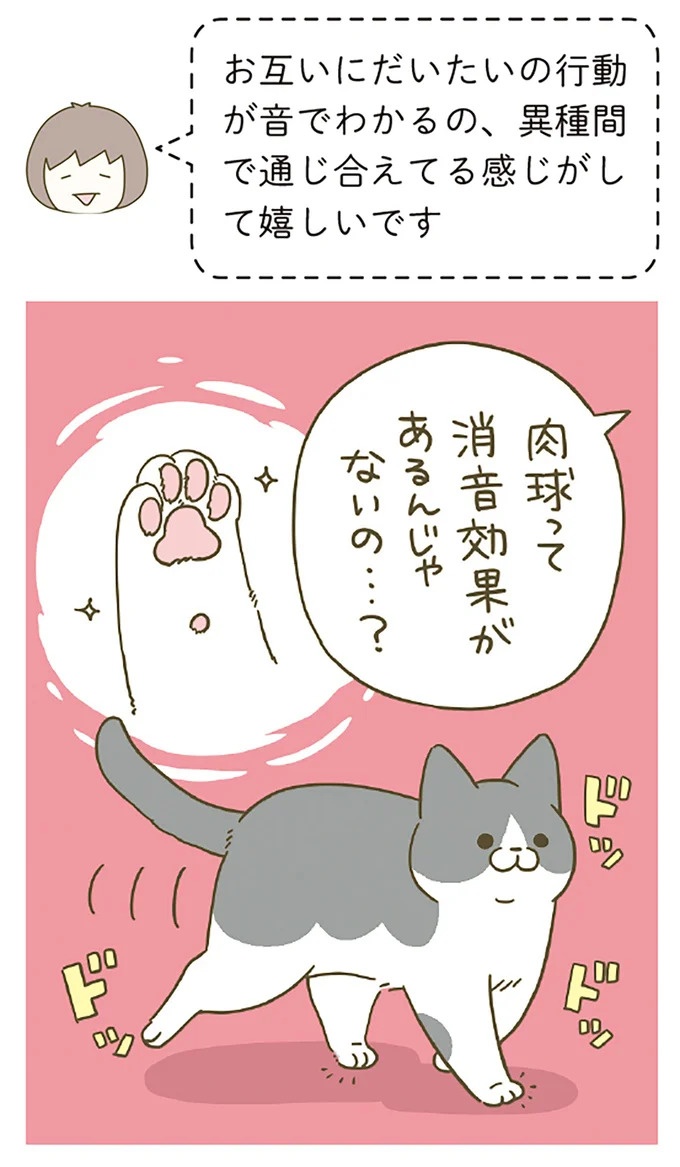 「えッ⁉ ネコチャンダッ‼」猫好きの引っ越し業者さん。愛猫たちの反応は／うちの猫がまた変なことしてる。7 ／うちの猫がまた変なことしてる。7（画像126/129枚目）